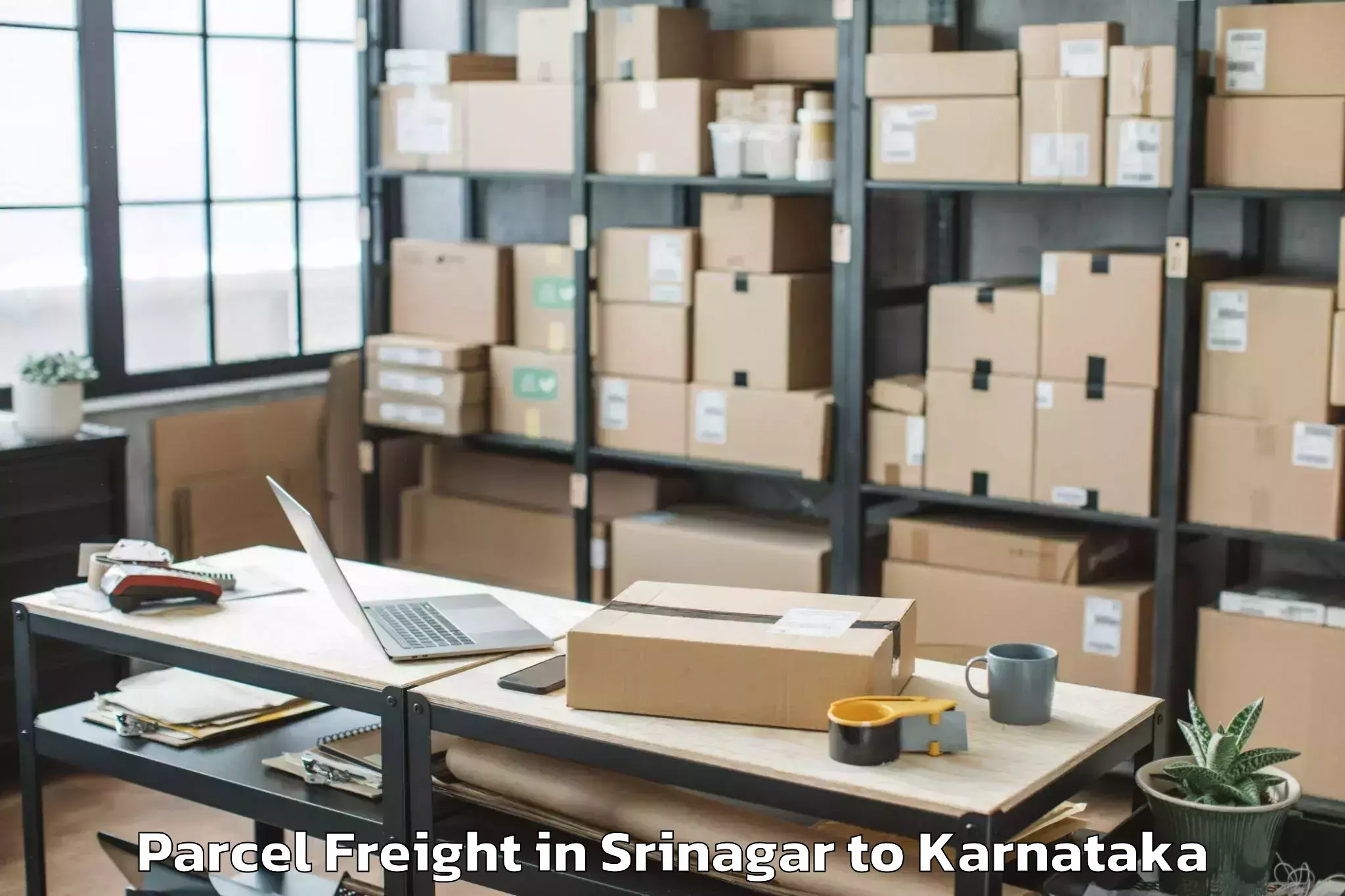 Easy Srinagar to Hukeri Parcel Freight Booking